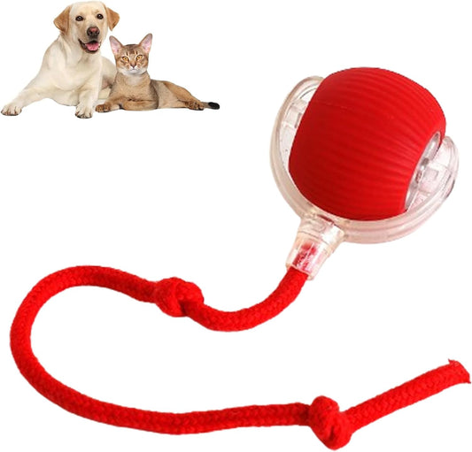 360° Smart Rolling Pet Ball