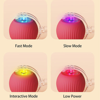 360° Smart Rolling Pet Ball
