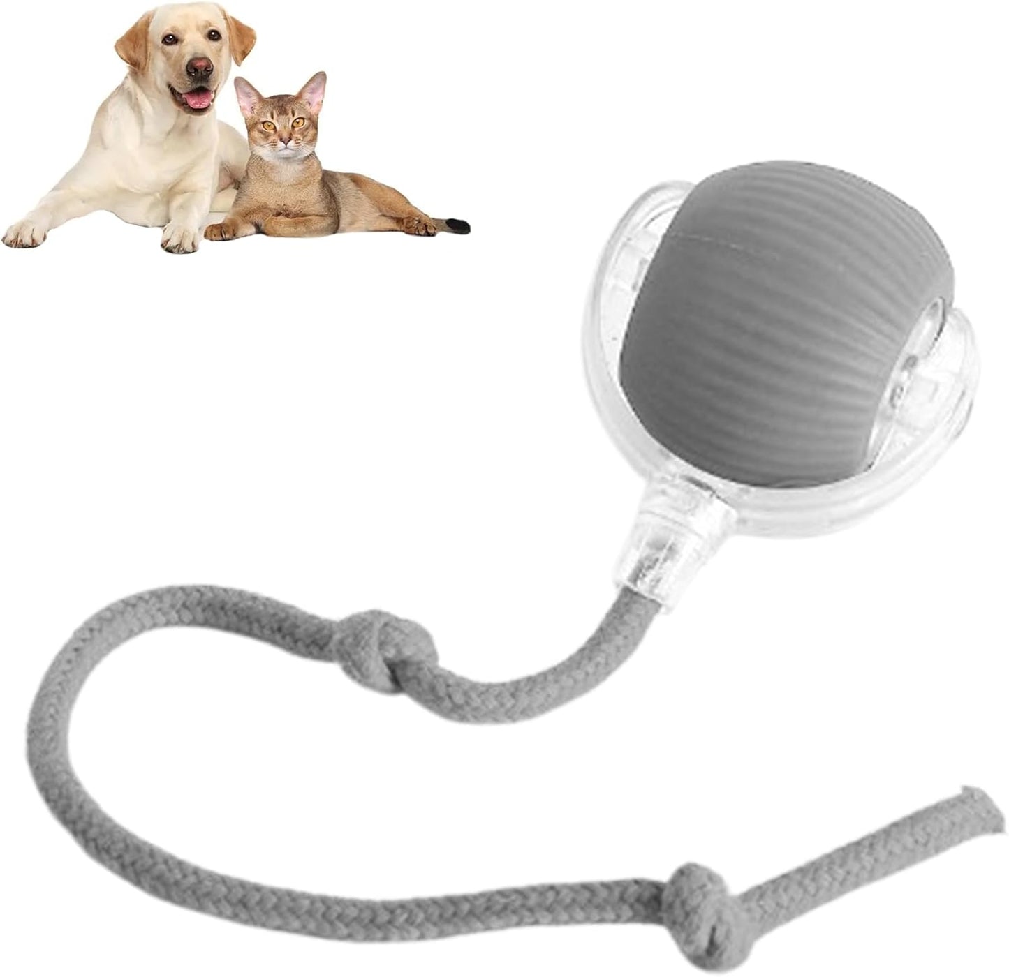 360° Smart Rolling Pet Ball