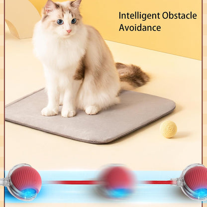 360° Smart Rolling Pet Ball