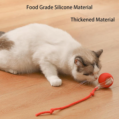 360° Smart Rolling Pet Ball