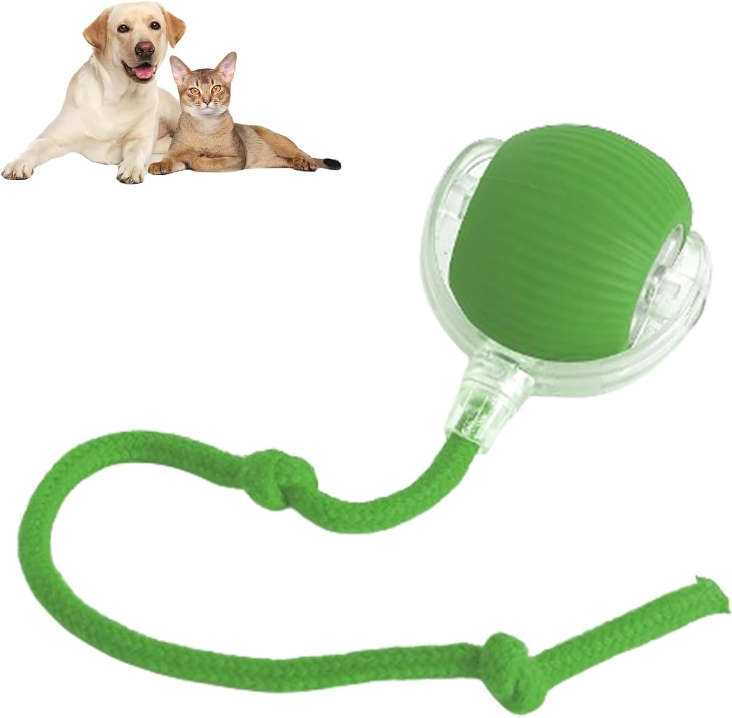 360° Smart Rolling Pet Ball