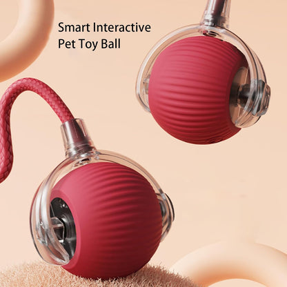 360° Smart Rolling Pet Ball